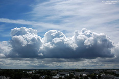 Cumulus mediocris - 30 juin 2005 - Mini